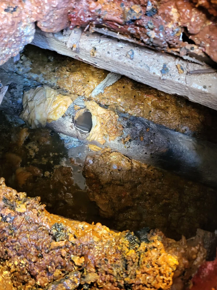 증평군 싱크대 역류 원인과 트랩 주변 오염으로 인한 싱크대막힘 해결법 · 트랩 주변 오염은 왜 역류를 유발하나요? 관련 이미지